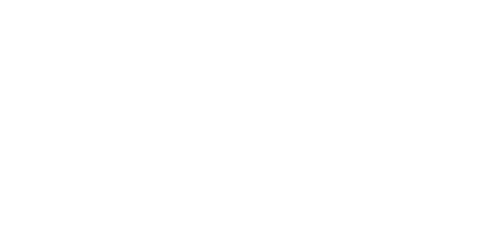 The Enchanted Forest